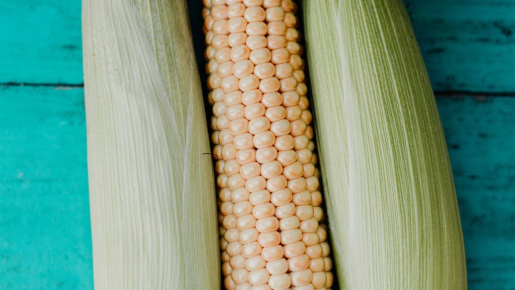 cornmeal cooking techniques