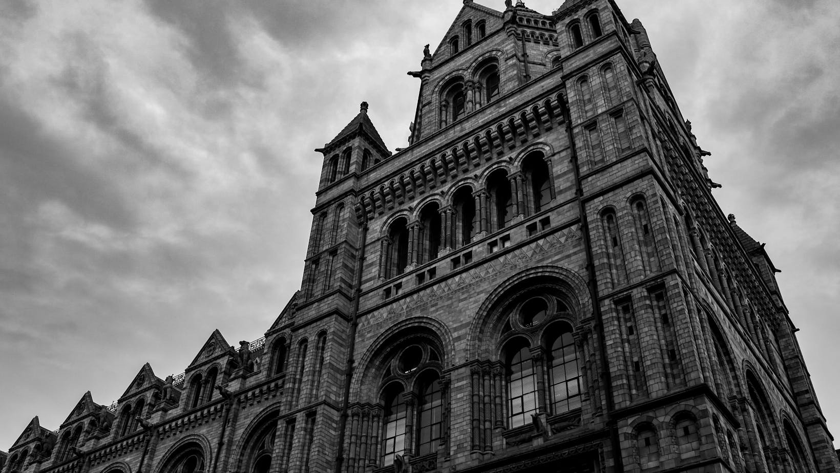 food near natural history museum